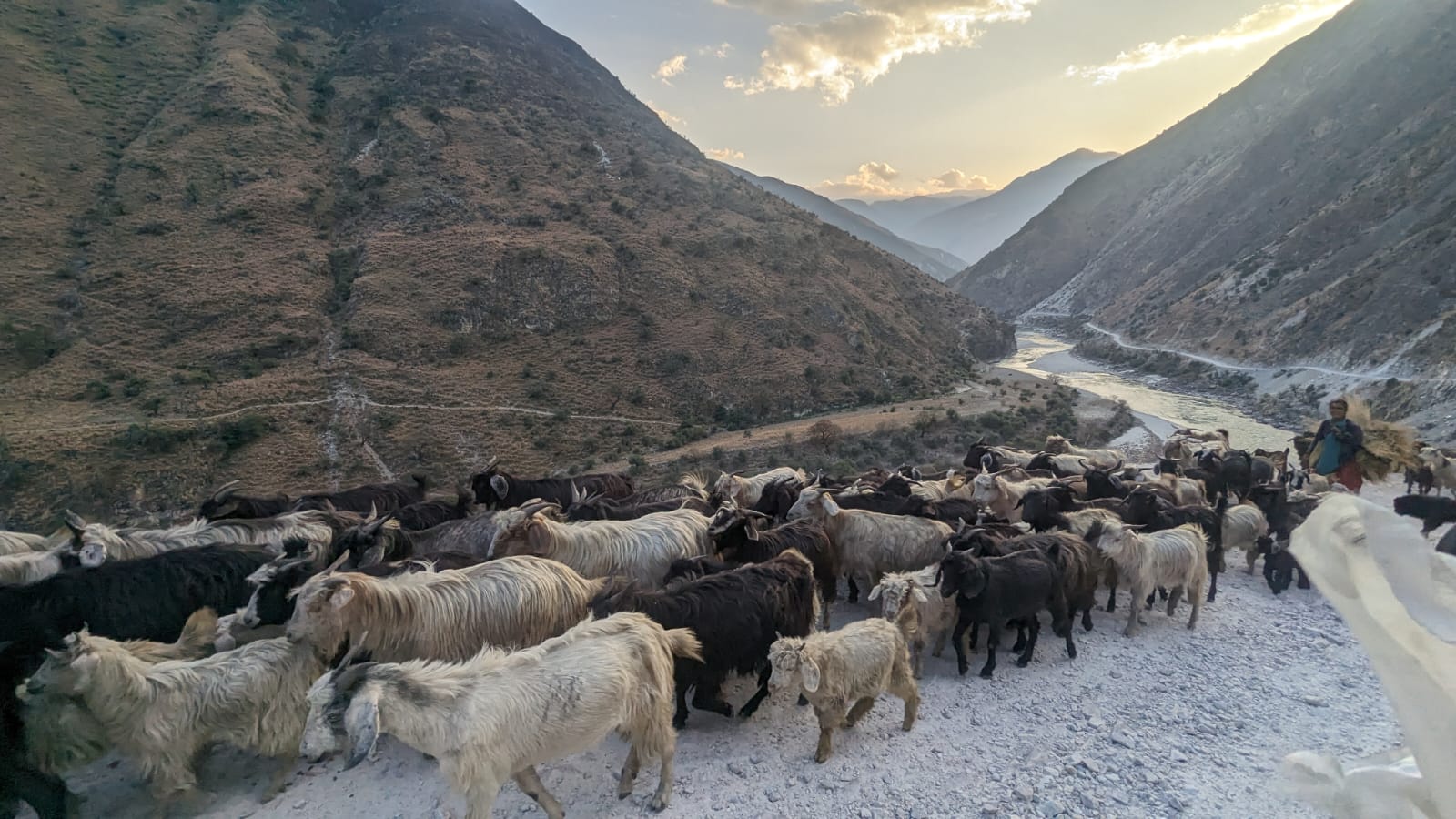 The Development Approach: Future of Nepal